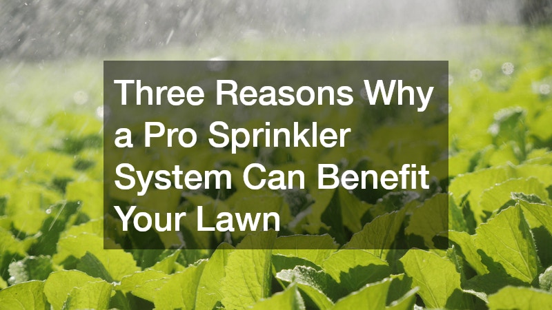Three Reasons Why a Pro Sprinkler System Can Benefit Your Lawn